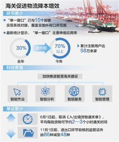 聚焦高質量發展 簡化流程、提升速度與降低成本——現代物流與貿易代理的協同變革