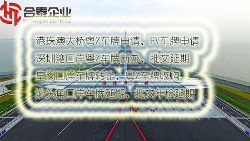 肇慶進出口公司做賬報稅全指南 貿易代理操作要點解析